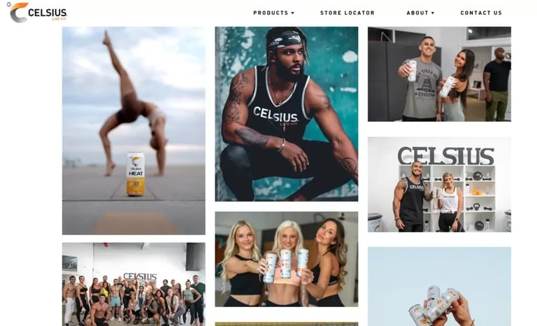 Celsius ambassador program