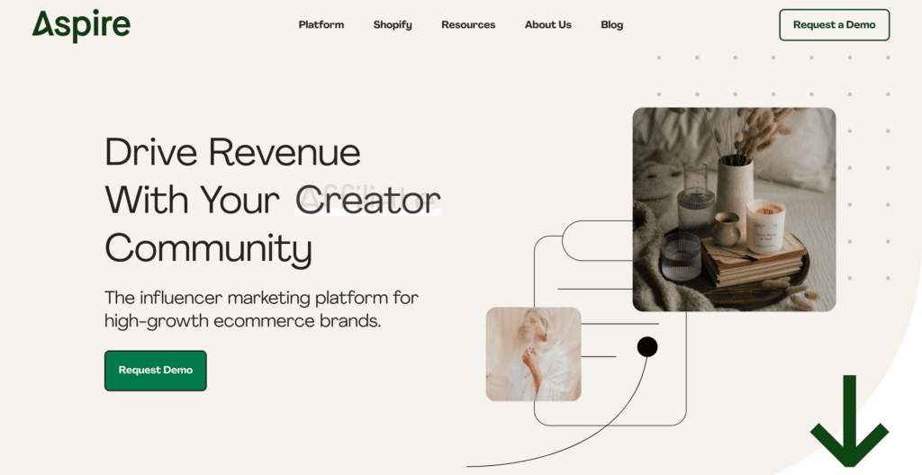 Aspire influencer management