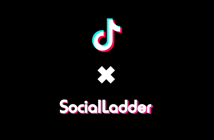 TikTok Brand Ambassador Management with SocialLadder